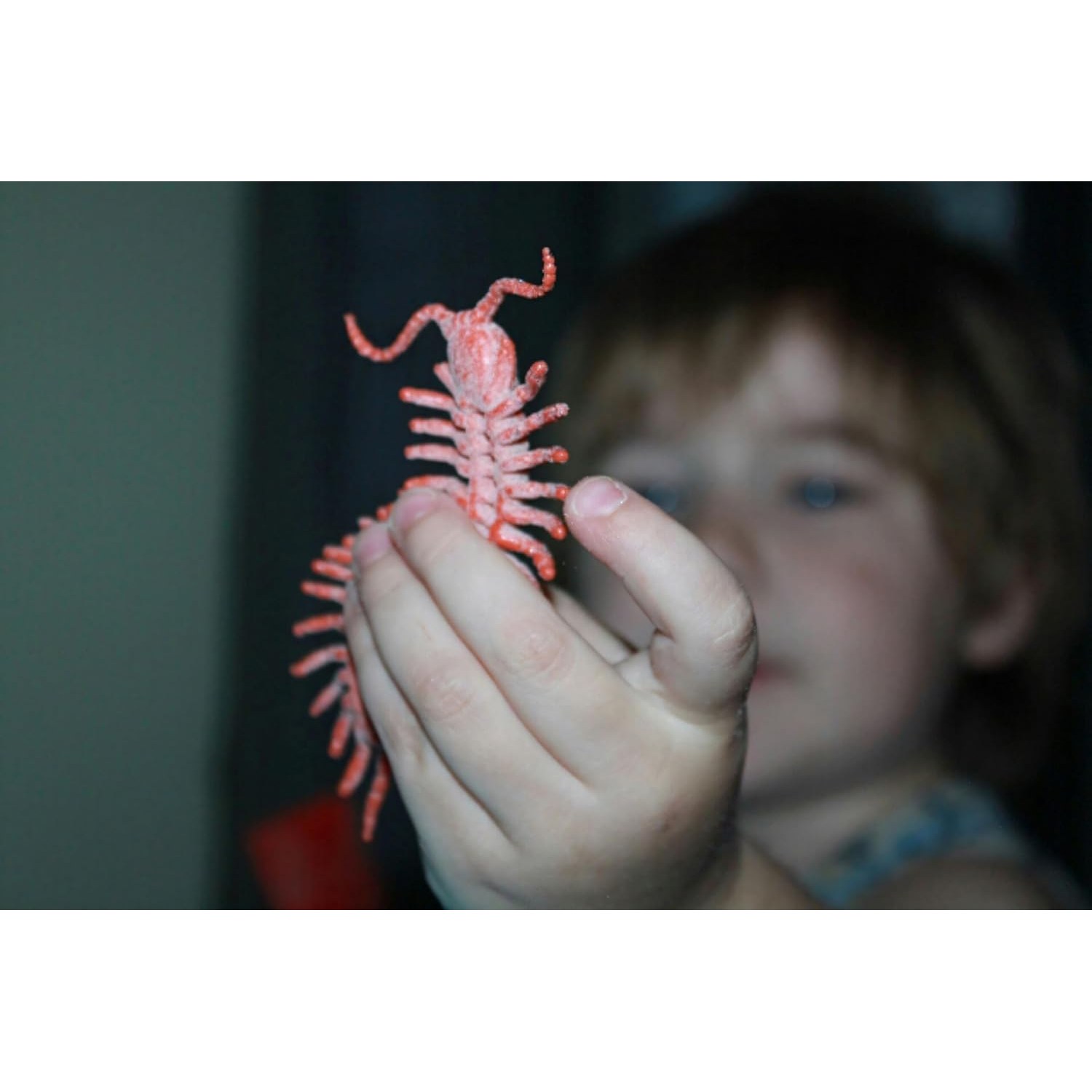 16 Piece Realistic Insect Figures Set: image 7