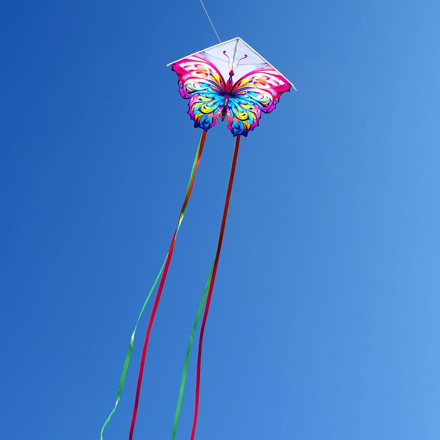 Butterfly Kite 2 Pack with Tails, Handles and Carry Bag